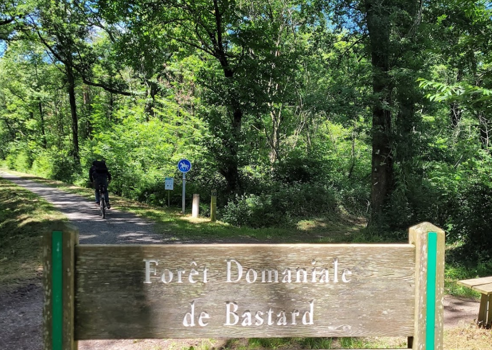 Foret de Bastard  PAU