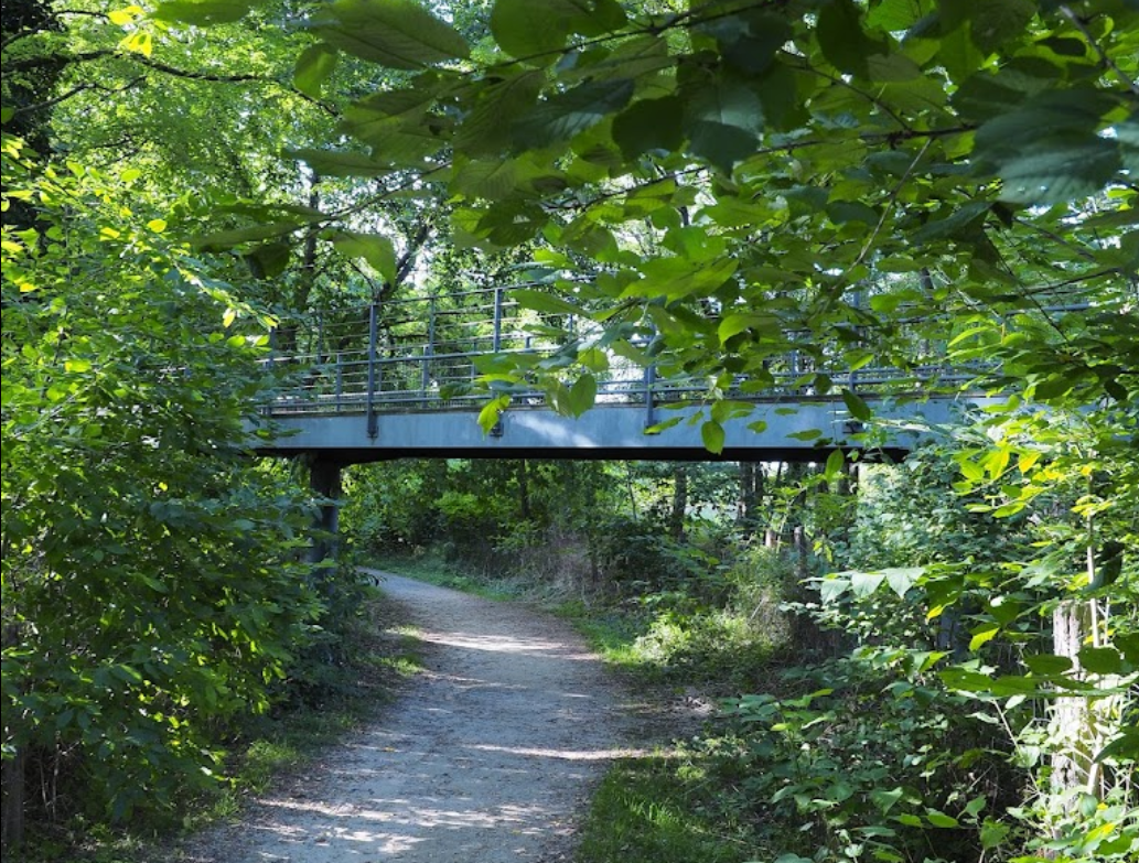 Parc  bois de Bondy  