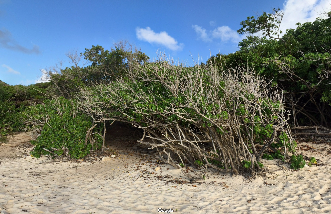 Plage de la douche 