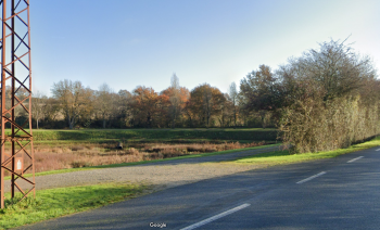 tang bord de route de Launay 